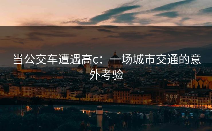 当公交车遭遇高c：一场城市交通的意外考验