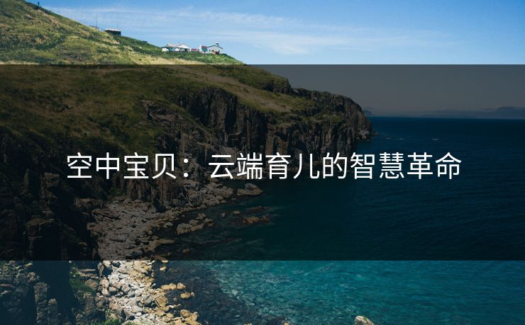 空中宝贝：云端育儿的智慧革命