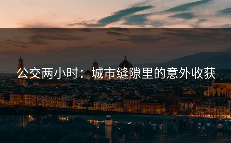 公交两小时：城市缝隙里的意外收获