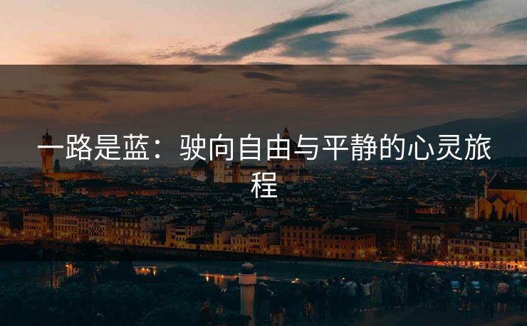 一路是蓝：驶向自由与平静的心灵旅程
