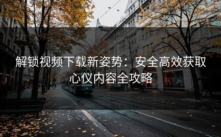 解锁视频下载新姿势：安全高效获取心仪内容全攻略