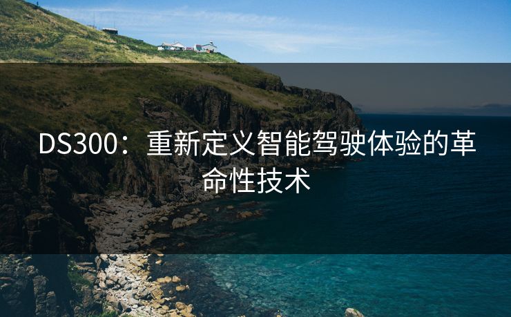DS300：重新定义智能驾驶体验的革命性技术