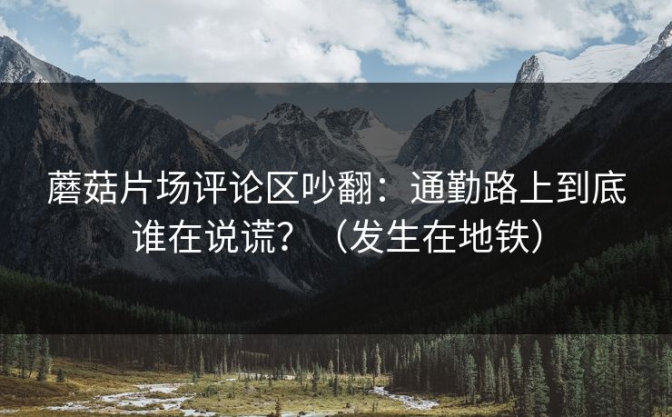 蘑菇片场评论区吵翻：通勤路上到底谁在说谎？（发生在地铁）
