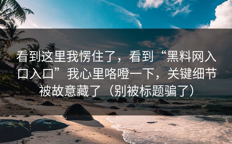 看到这里我愣住了，看到“黑料网入口入口”我心里咯噔一下，关键细节被故意藏了（别被标题骗了）